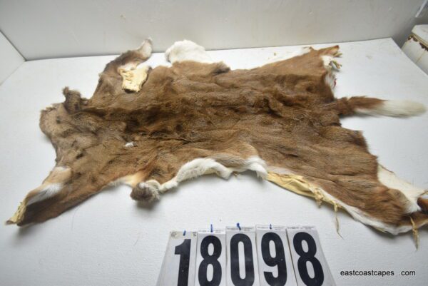 Whitetail deer hide (soft tanned) - East Coast Capes