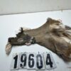 Whitetail deer cape 7.5x18x19x20+