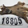 Whitetail deer cape 7x17x18x19