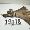 Whitetail deer cape 7.75x21x22x23