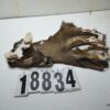 Whitetail deer cape 7.25x19x20x21