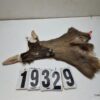 Whitetail deer cape 7x16x17x17.5