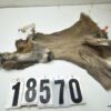 Whitetail deer cape 7.75x20x21x22