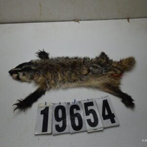 Badger life size 2x18x24+