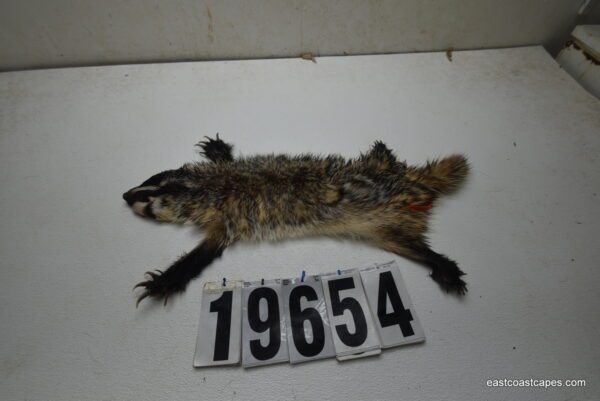 Badger life size 2x18x24+