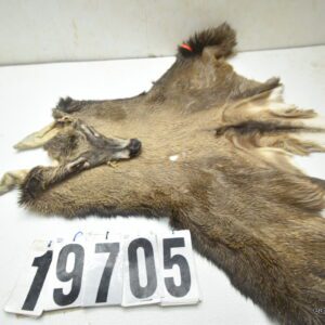 Whitetail deer cape 7.25x19x20x21+