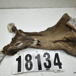Whitetail deer cape 7.25x17x18x19
