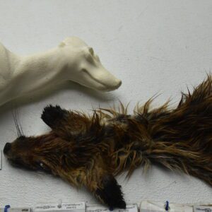 Red Fox package deal (cape, pedestal form and eyes)