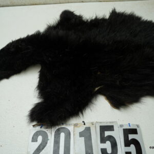 Bear cape 4.5x17