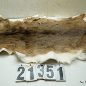 Whitetail deer hide (soft tanned)