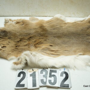 Whitetail deer hide (soft tanned)