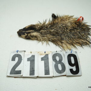 Badger cape 2x11+