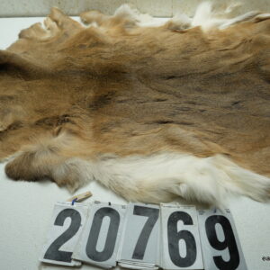 Whitetail deer hide 34"x42" (Soft tan)