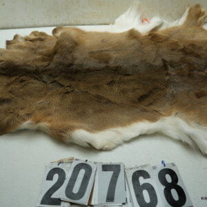 Whitetail deer hide 36"x48" (soft tanned)