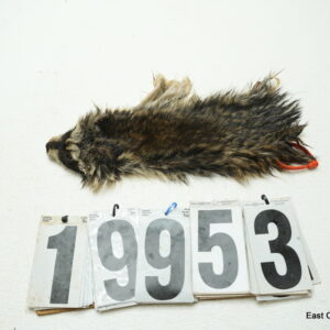 Raccoon cape 2x9
