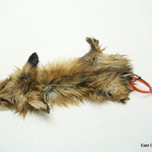 1 Stock Red fox cape