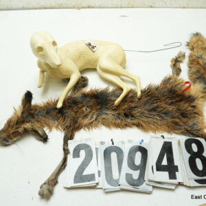 Red fox life size mounting package (life size skin, form and eyes)